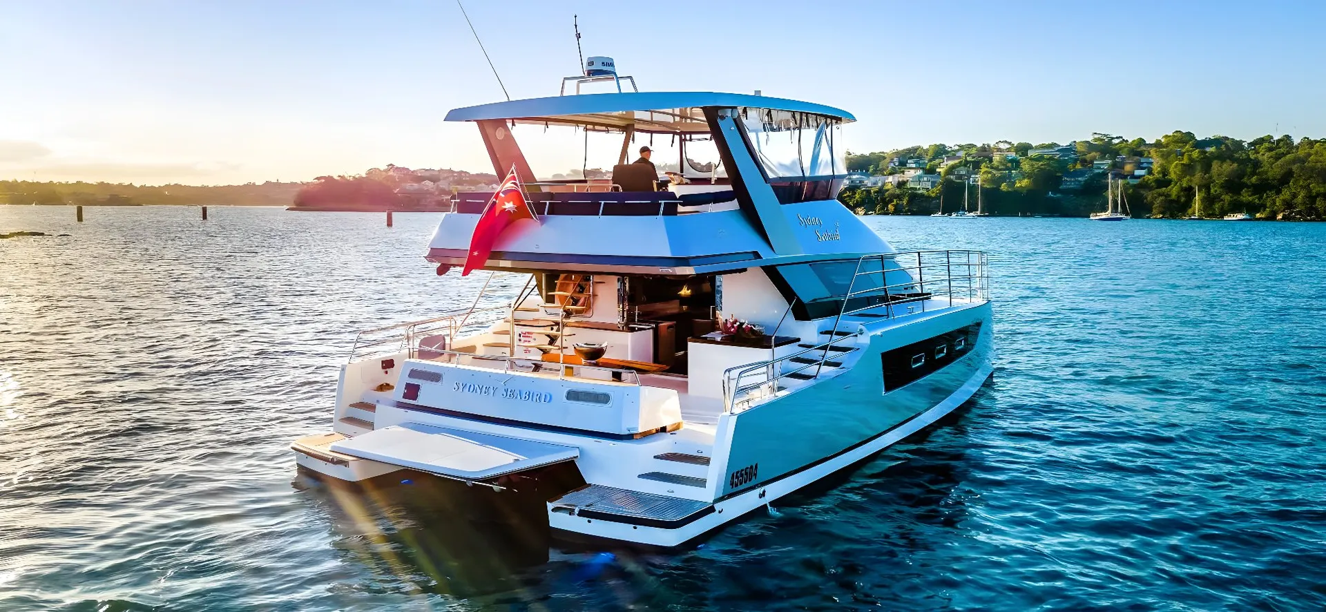 Sydney Seabird